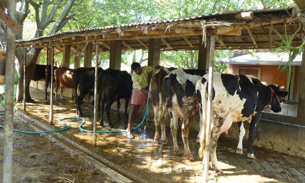 18103328692_60659682a6_b