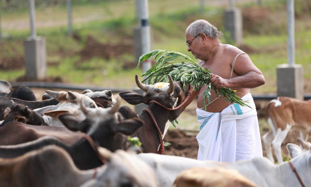 Bharath-bro-228-min-scaled